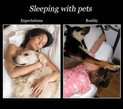 Sleeping with Pets