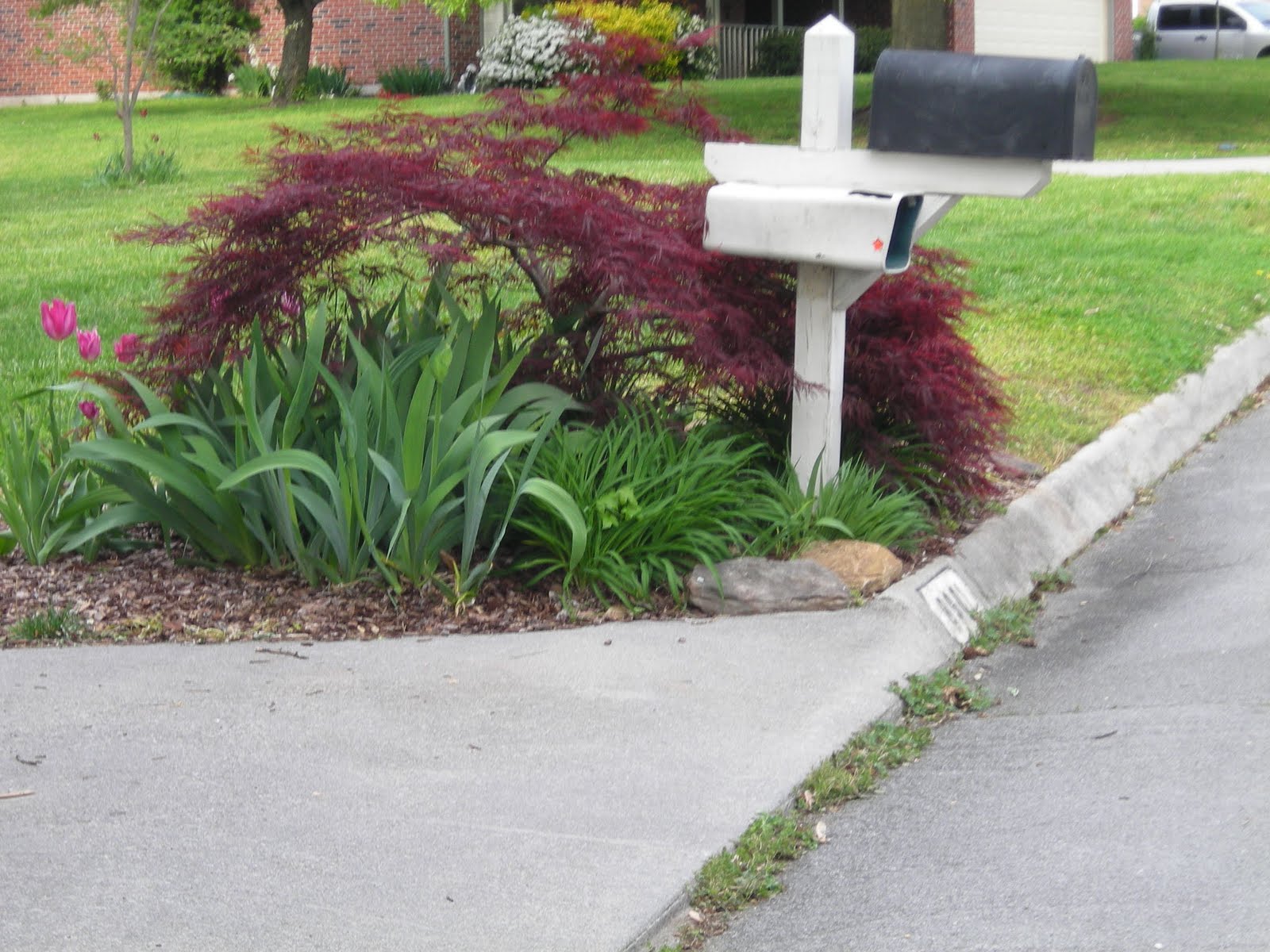 Idea here: Ideas for landscaping around mailbox