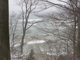 Lake Michigan waves