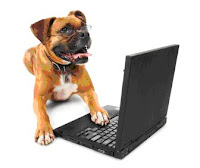 dog on computer