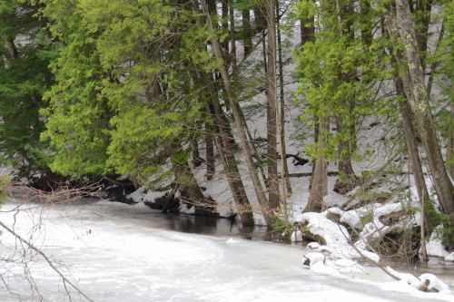 Pere Marquette River