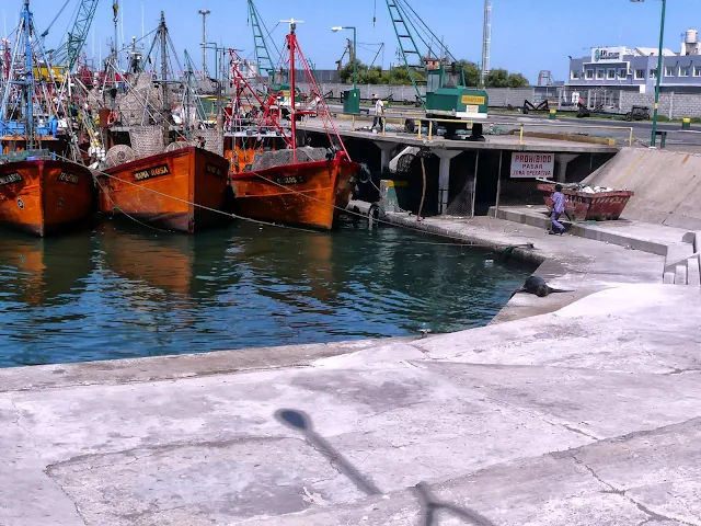 Puerto de Mar del Plata