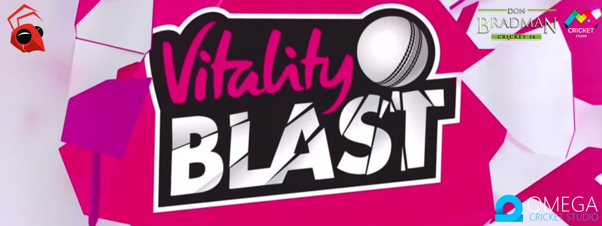  Vitality Blast 2019 Patch for Don Bradman Cricket 14