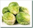 sprouts