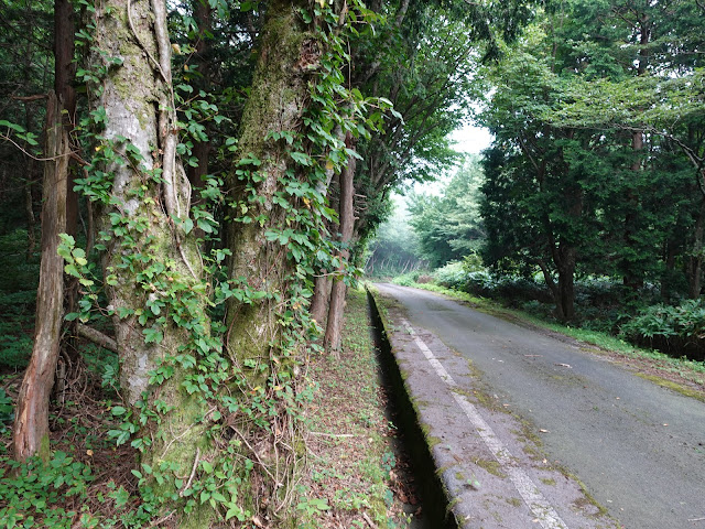 香取の大休峠に向かう山道を降ります