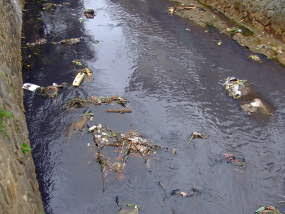 THIS IS IT . . .: Pencemaran air sungai di Bandung