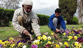 people of jammu & kashmir,india