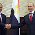 السيسي يشيد بدعم روسيا لمصر 
