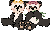 Panda Bear