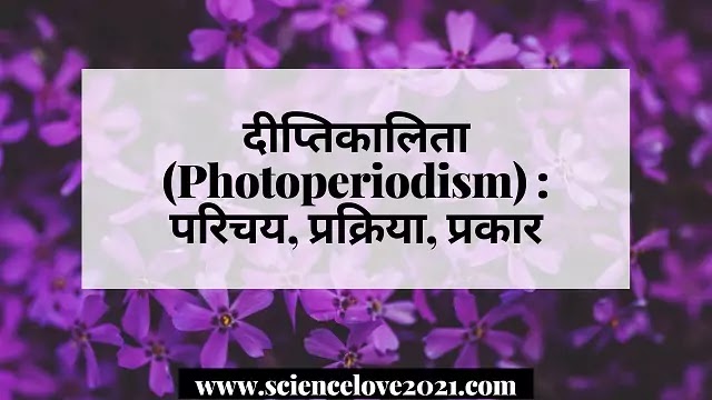 दीप्तिकालिता (Photoperiodism) : परिचय, प्रक्रिया, प्रकार|hindi