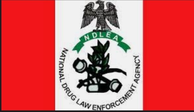 NDLEA Will Start Online Recruiting on 12th March, 2023.