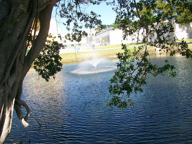 Fountain,FIU,Photo