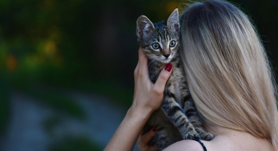 El significado espiritual de un gato que te elige