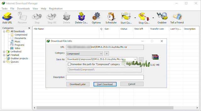 Internet Download Manager IDM