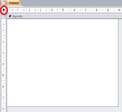 Access Form Tasarımı