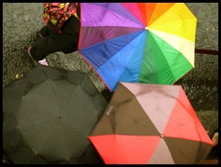 umbrella