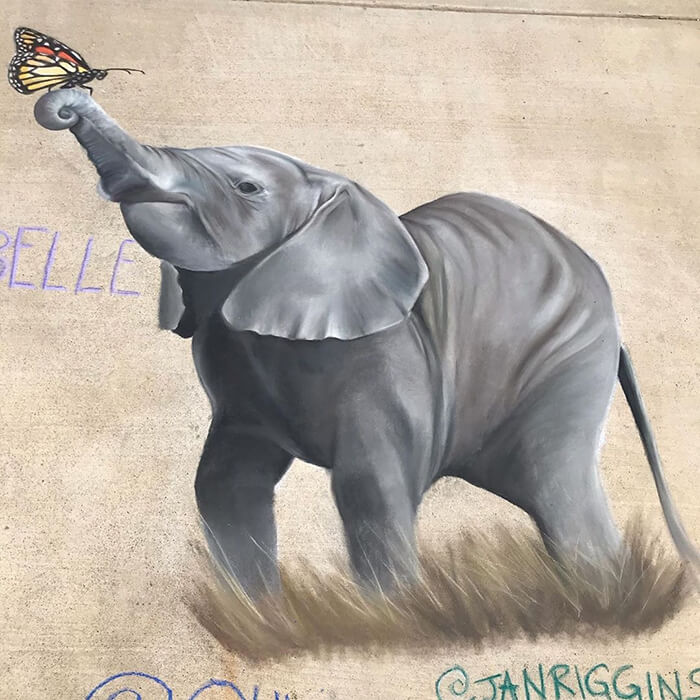 09-Elephant-and-butterfly-Chalk-Drawings-Jan-and-Olivia-Riggins