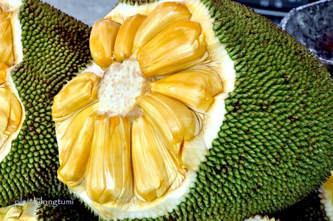 Todo sobre el jackfruit, la fruta que usan los veganos para sustituir a la carne