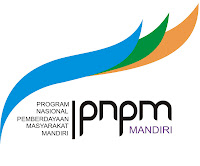 pnpm mandiri