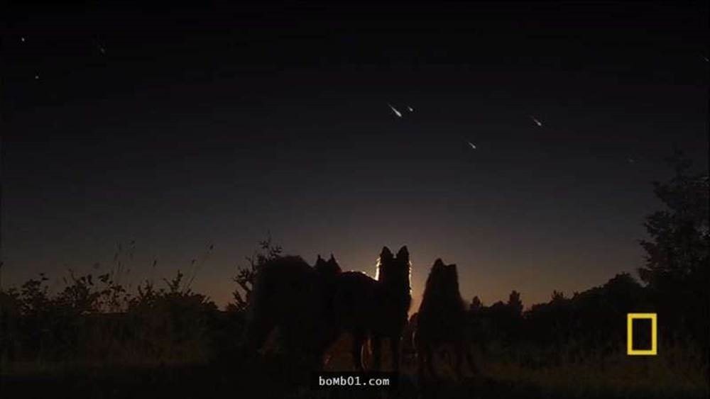 clip_image010