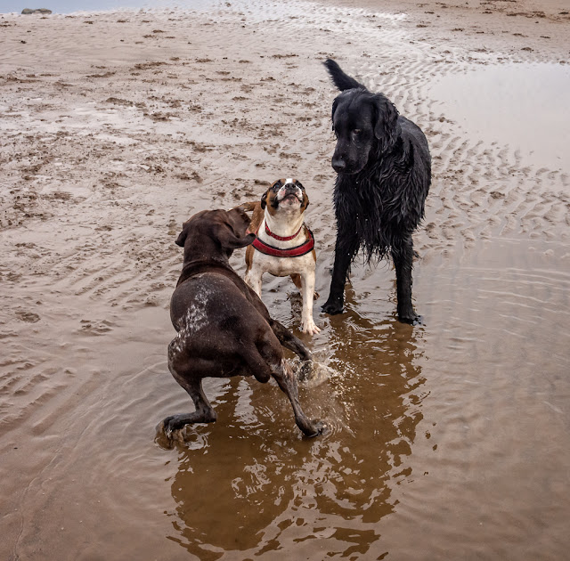 Photo of Ruby with Fern and Harry