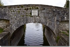 5-DSC_0546