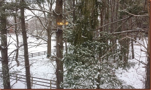 20150127_091825