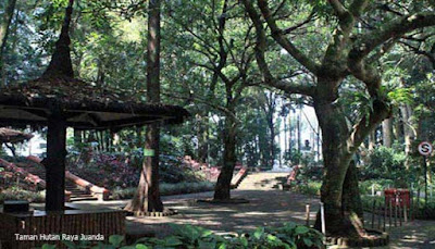 Taman Hutan Raya Juanda