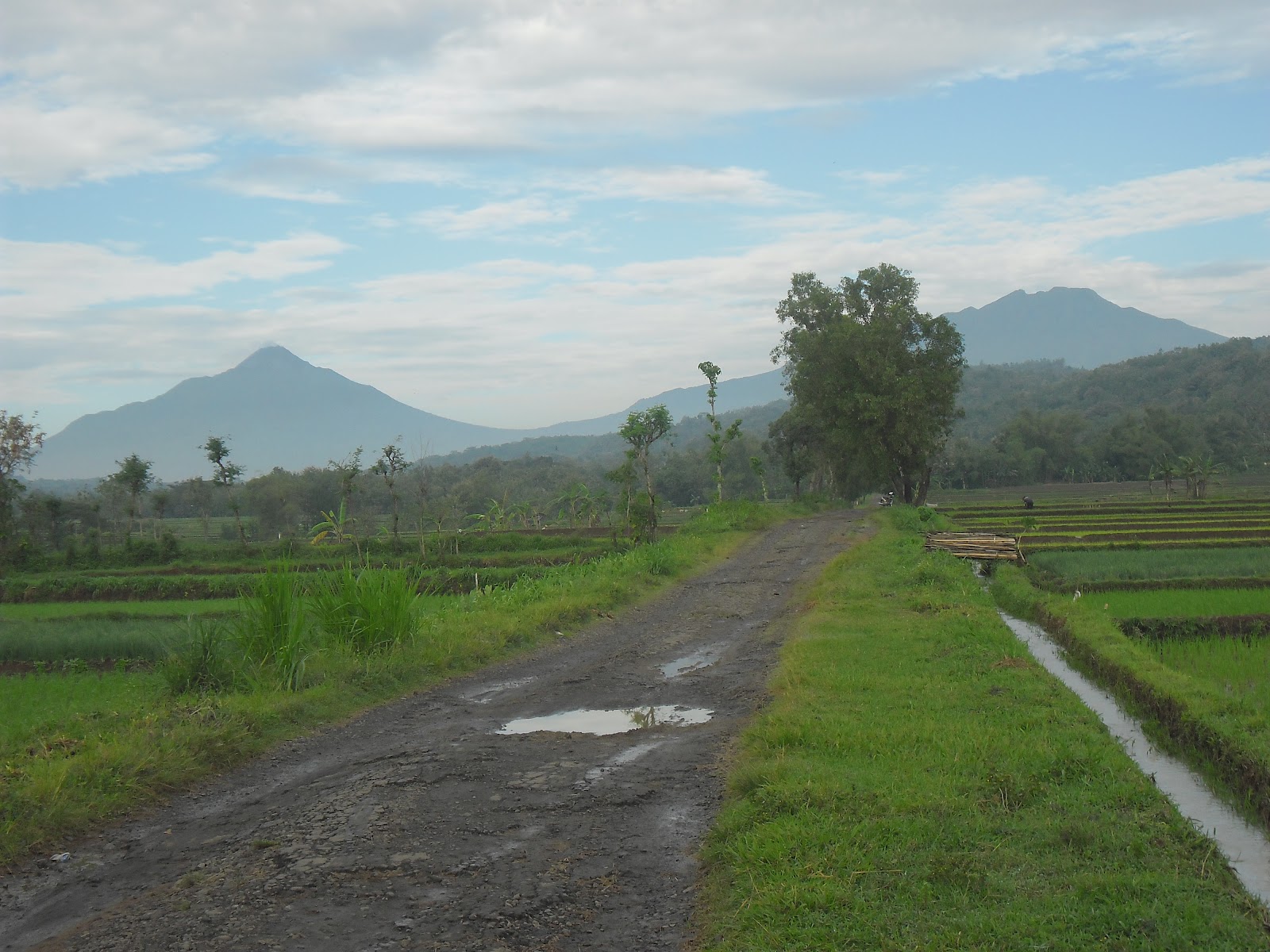 Great Lukisan Pemandangan Alam Koleksi Gambar Mewarnai Pedesaan