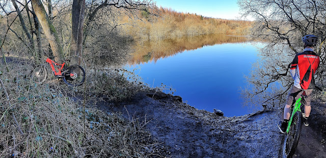 Beamish Pond