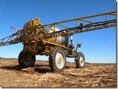 sprayng cane swazi  rhynhardt
