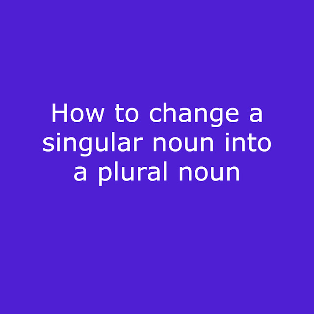 SINGULAR AND PLURAL NOUNS