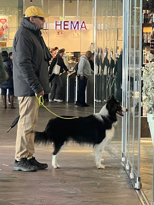 man met hond kijken naar binnen bij AH To Go, Station Rotterdam Centraal