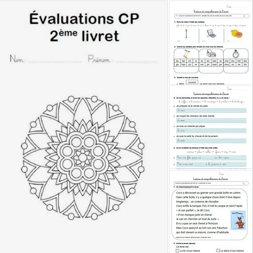 livret d’évaluations  pour les 3ap