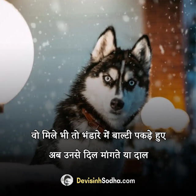 funny quotes on life in hindi, funny quotes on life in hindi with images, funny quotes on life in hindi for whatsapp, famous writers quotes on life in hindi, funny quotes on bankers life in hindi, funny quotes on college life in hindi, funny quotes on school life in hindi, funniest quotes about life in hindi, savage hindi captions for instagram, hindi funny captions for instagram for girl