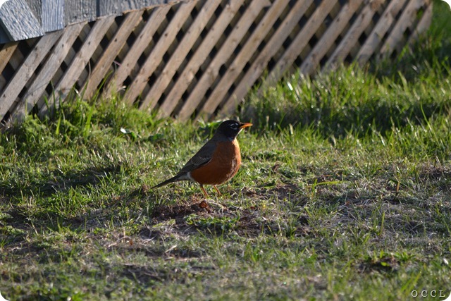 DSC_5497 DSC_5497