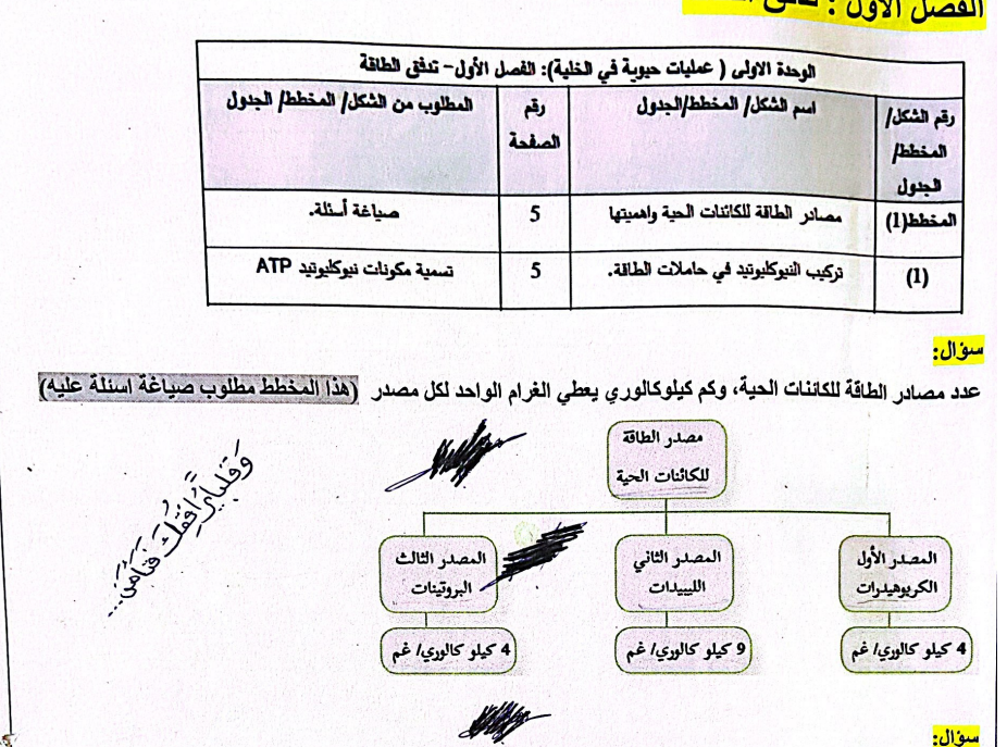 شرح الوحدة الأولى (عمليات حيوية في الخلية) الأحياء للتوجيهي