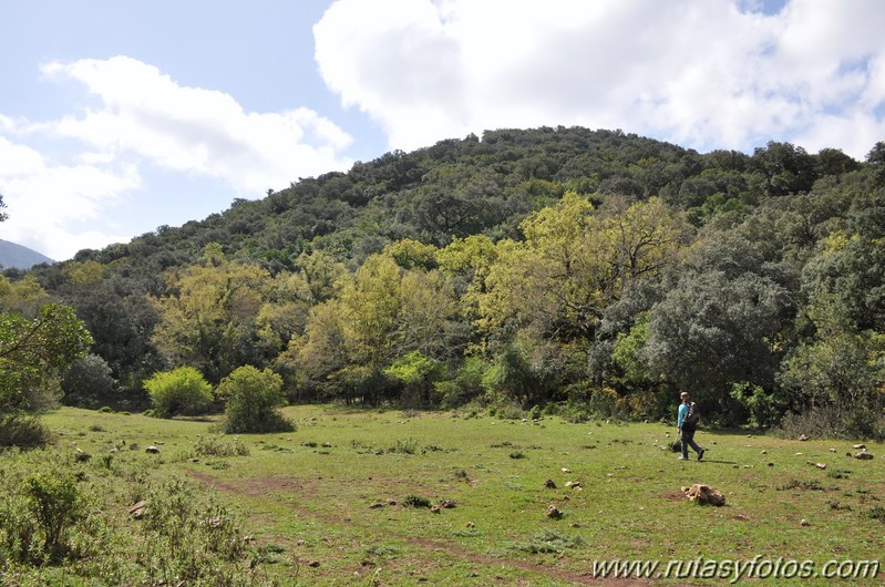 Llanos del Campo - Tesorillo - Cerro del Granadillo - Cerro de las Cuevas - Llanos del Berral