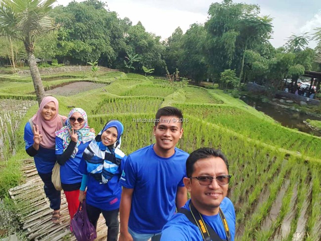 sawah padi di dusun bambu bandung