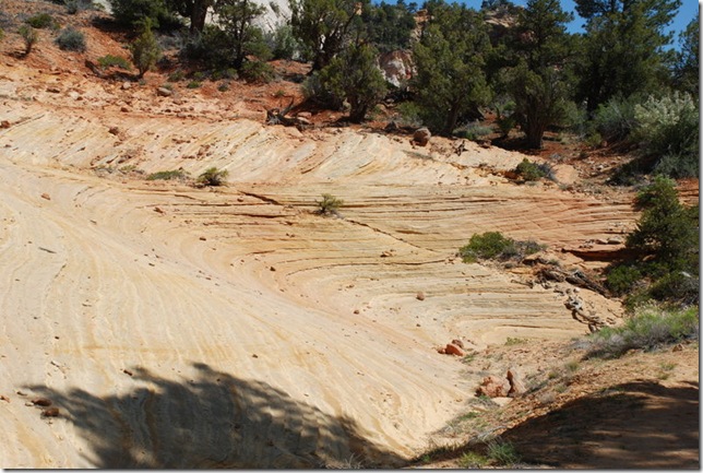 05-01-13 A East Side of Zion SR9 069