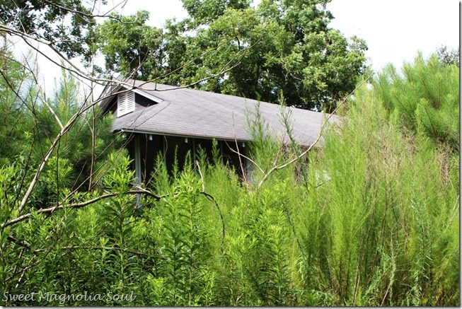 house2