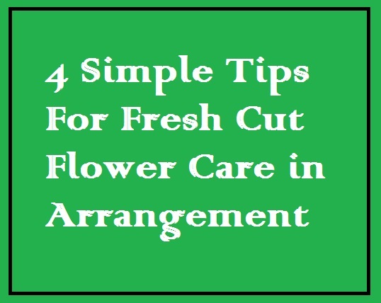 Flower Care Tips 