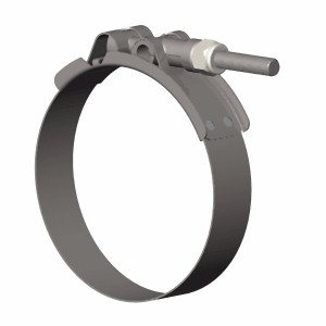 Bridge Hose Clamp4