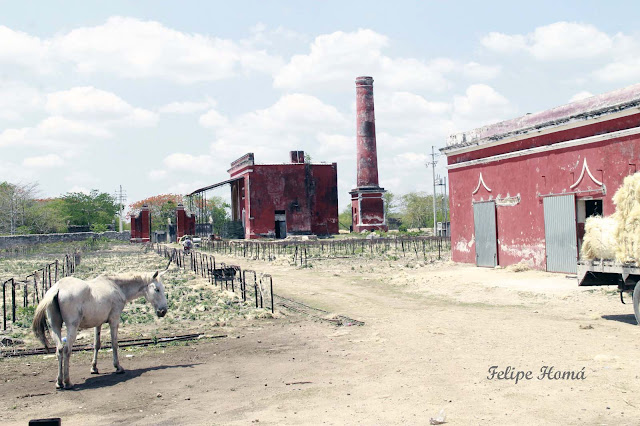 Las Haciendas Henequeneras en Yucatán