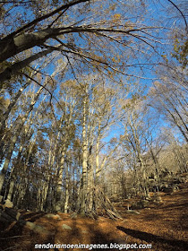 Turó i empedrat de Morou (Montseny)
