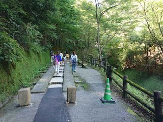 養老公園 階段