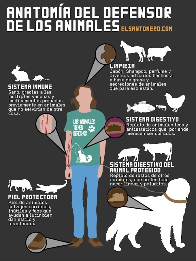 Anatomía del defensor de los animales (Infografía)