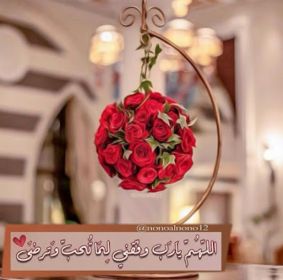 صور جميلة
