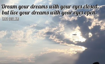 Live Your Dreams Quotes