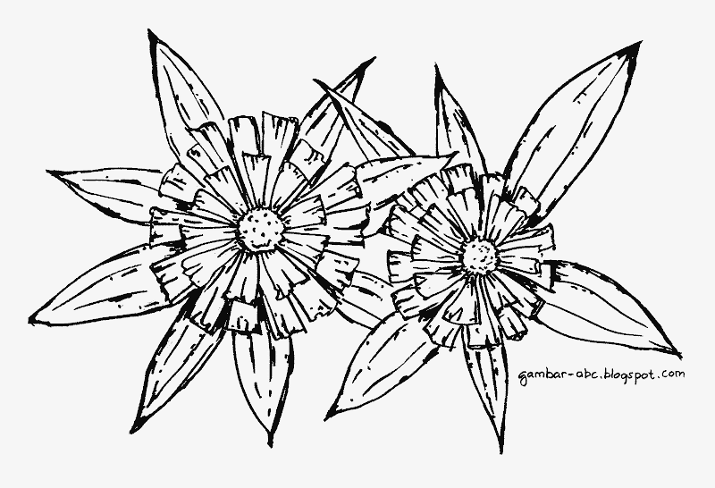 Inilah 15+ Gambar Sketsa Bunga Kembang Kertas